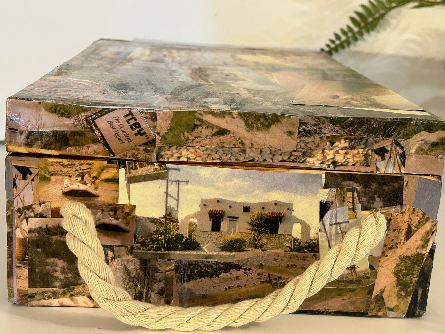 Southwest Texas, New Mexico, & Mexico-Western Oasis Art Box-Rope Handle