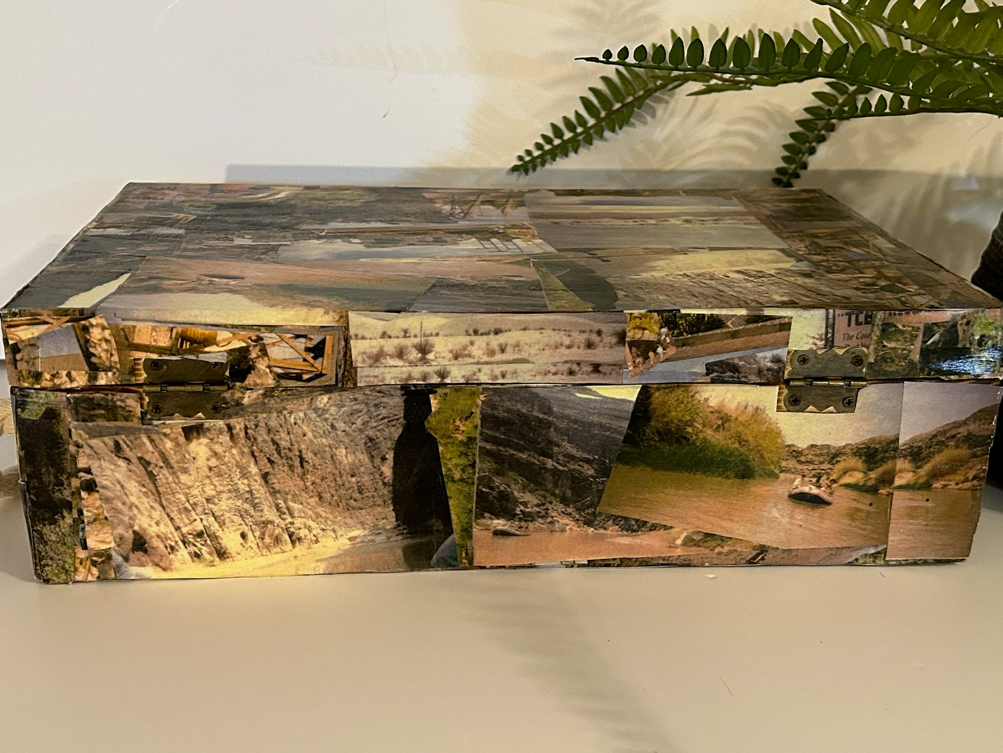 South Texas-New Mexico & Mexico, Western Oasis Art Collection